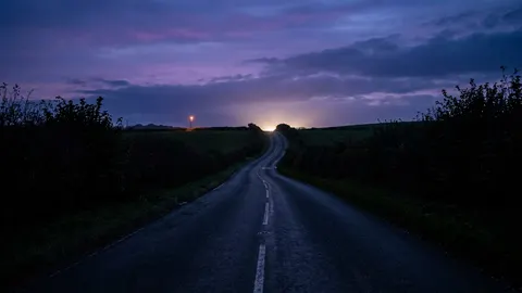 The Long Way Home: Essays on Driving as Therapy